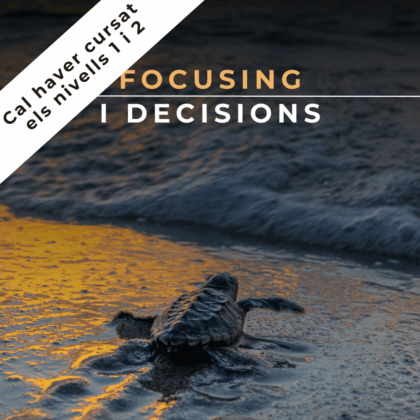 22 i 23 Març 2025 | Focusing i decisions