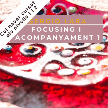 6 i 7 Desembre 2024 | Focusing i acompanyament 1  | Con Sergio Lara