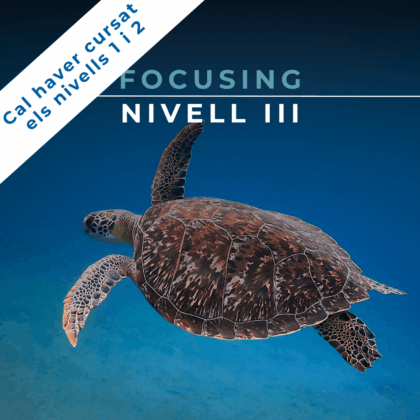 15 i 16 Febrer 2025 | Focusing: Nivell 3