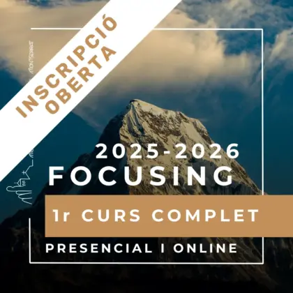 Focusing 1r Curs Complet | 2025-2026 | INSCRIPCIÓ OBERTA