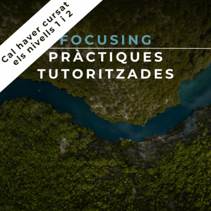 18 Gener 2025 | Focusing: Pràctiques tutoritzades
