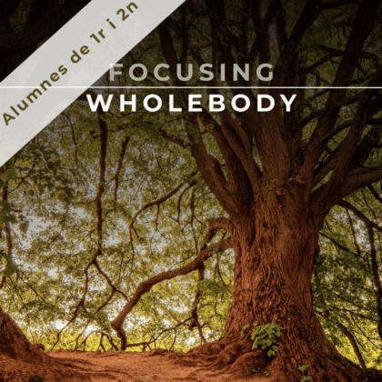 24-26 Gen 2025 | Focusing Wholebody | Amb Mónica Gómez Galaz