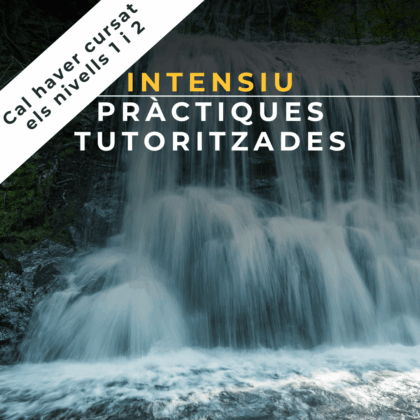 5 Juliol 2025 | Focusing: Intensiu pràctiques tutoritzades