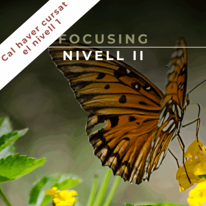 9 i 10 Novembre 2024 | Focusing: Nivell 2