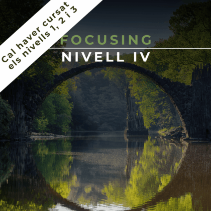 10 i 11 Maig 2025 | Focusing: Nivell 4