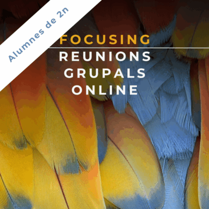 Set 2024 a Jun 2025 | Focusing: Reunions Grupals Online