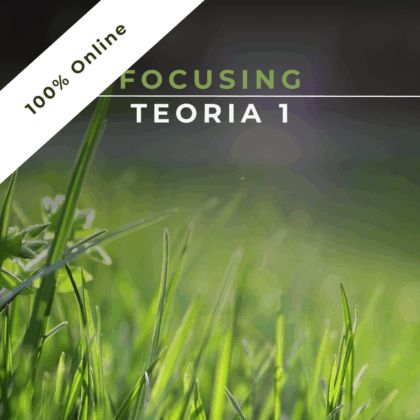 Nov 2024 a Jul 2025 | Focusing: Teoria 1
